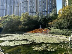 -中山公园