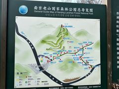 -南京老山国家森林公园