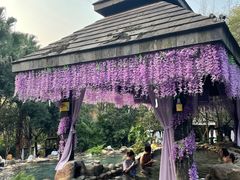 -融汇温泉