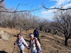 -阳台山自然风景区