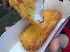 脆皮鲜奶-好可爱经典炸炸炸·炸鲜奶(长郡老店)