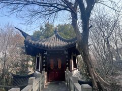 -上海佘山国家森林公园西佘山园