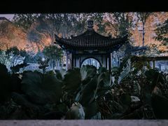 -莲湖公园