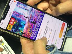 -台场海滨公园船码头