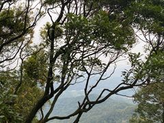 -广州市帽峰山景区