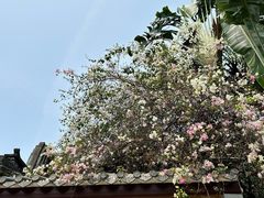 -深圳国际园林花卉博览园