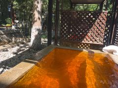 -春晖园度假酒店温泉