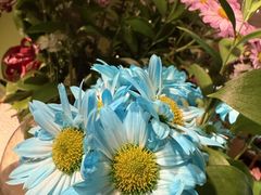 -春暖花开(西溪店)