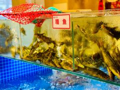 -徐家屯铁锅炖(宋家庄店)