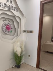 点击看大图 -长沙雅美医疗美容医院