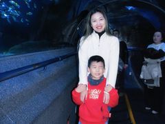 -大连圣亚海洋世界