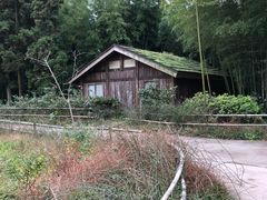 -重庆雨台山风景区