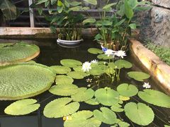 -国家植物园南园