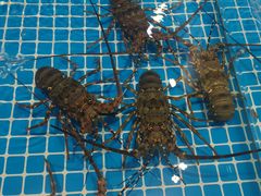 -三亚火车头万人海鲜广场