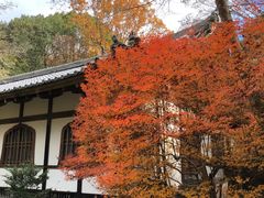 -醍醐寺