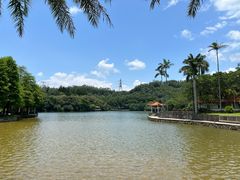 -深圳仙湖植物园