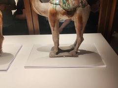 -旅顺博物馆