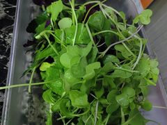 -雷山鱼酱酸汤鱼·酸汤牛肉(花果园T1区店)