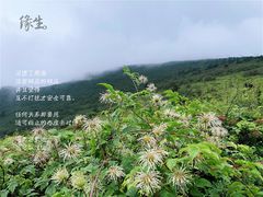 -秦岭风景区