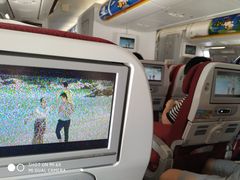 -谢列梅捷沃国际机场