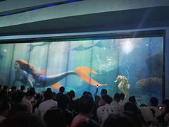 -海合安成都极地海洋公园