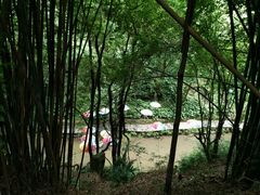 -洪崖丹井