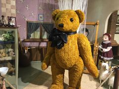 -济州岛泰迪熊博物馆