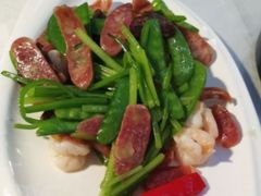 -云中小雅