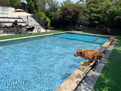 -汪说喵讲宠物乐园宠物酒店(红星美凯龙店)