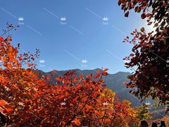 -周口店坡峰岭风景区