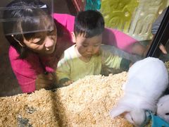 -宠物世家(仲盛世界商城店)