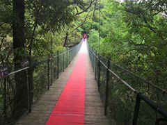 -桂林古东瀑布景区