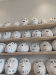 -颜和骨正·明哲式骨相美学整骨