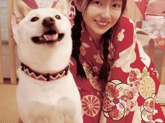 -柴迷FANS CLUB·柴犬狗咖·猫咖