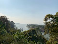 -上海市保健医疗中心