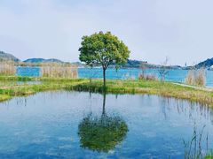-南北湖风景区