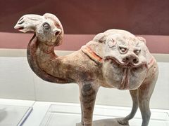 -隋唐大运河文化博物馆