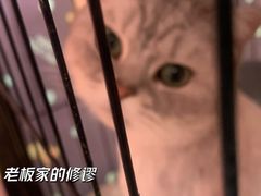 -艺味深尝(云锦路店)
