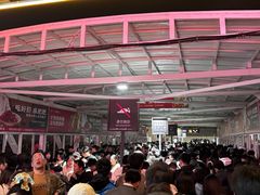 -武汉关码头(轮渡站)