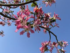 -风云岭森林公园