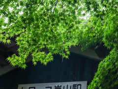 -岚山嵯峨野观光小火车