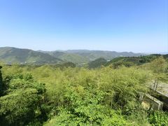 -莫干山风景区