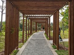 -福田红树林生态公园