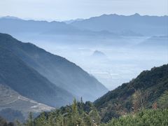 -杨家堂村