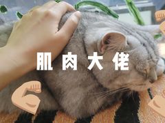 -平行世界·猫咖(首经贸店)