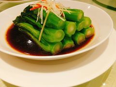 白灼菜心-南山鲜虾面·活鲜小馆·海味大连菜(南山总店)