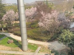 -南京国睿金陵大酒店