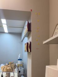 -洗脸猫·洗脸吧