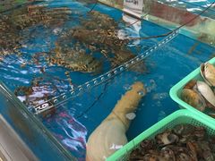 -清水湾3号(东方小周海鲜店)