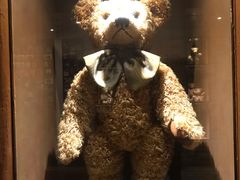 -济州岛泰迪熊博物馆